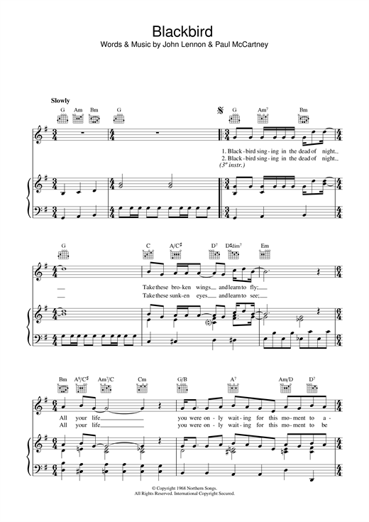 Preview The Beatles Blackbird Rock sheet music, notes and chords for Piano, Vocal & Guitar (Right-Hand Melody), SKU: 15177 sheet music, piano notes, chords, guitar tabs, score, transpose, transcribe, how to play, guide, download, learn, tutorial, progression, song, artist, awards, billboard, mtv, vh1, tour, single, album, release
