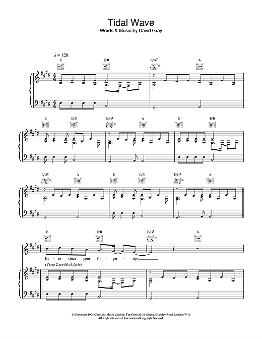 Preview David Gray Tidal Wave Rock sheet music, notes and chords for Piano, Vocal & Guitar, SKU: 18460 sheet music, piano notes, chords, guitar tabs, score, transpose, transcribe, how to play, guide, download, learn, tutorial, progression, song, artist, awards, billboard, mtv, vh1, tour, single, album, release