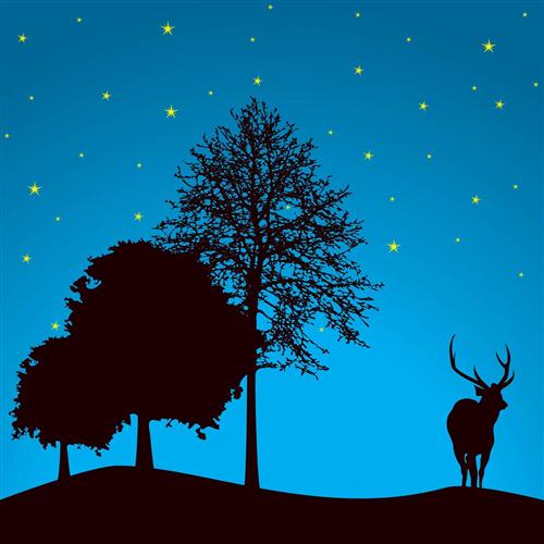 Franz Gruber Franz Gruber, Silent Night, Piano