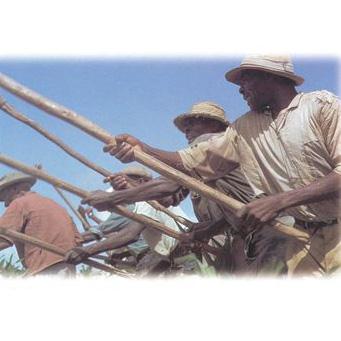 Traditional Caribbean Traditional Caribbean, Jamaica Farewell, Easy Piano