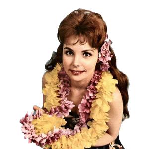 Traditional Hawaiian Folk Traditional Hawaiian Folk Song, Maori Farewell Song, Easy Piano
