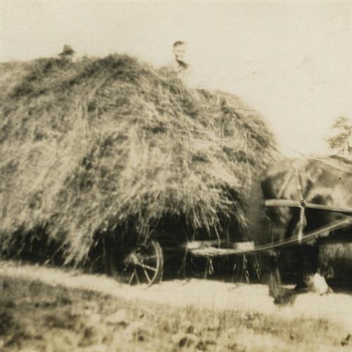 Howard Barnes Howard Barnes, A Load Of Hay, Piano, Vocal & Guitar (Right-Hand Melody)
