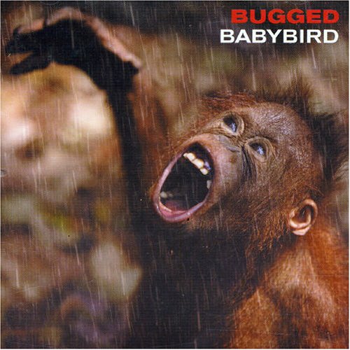 Babybird Babybird, Fireflies, Lyrics & Chords