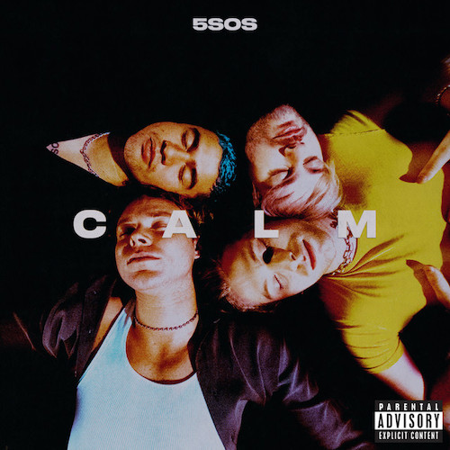 5 Seconds of Summer Easier Profile Image