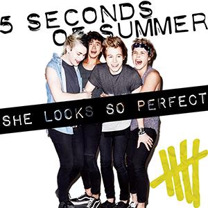 5 Seconds of Summer She Looks So Perfect Profile Image