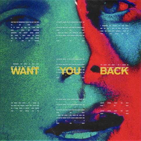5 Seconds of Summer Want You Back Profile Image