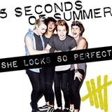 Download or print 5 Seconds of Summer She Looks So Perfect Sheet Music Printable PDF 2-page score for Pop / arranged Keyboard (Abridged) SKU: 118979.