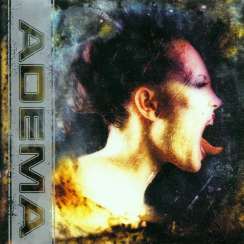 Adema Giving In Profile Image