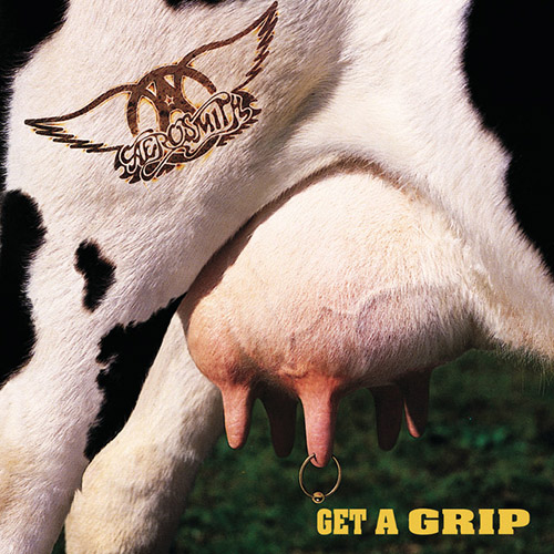 Aerosmith Get A Grip Profile Image