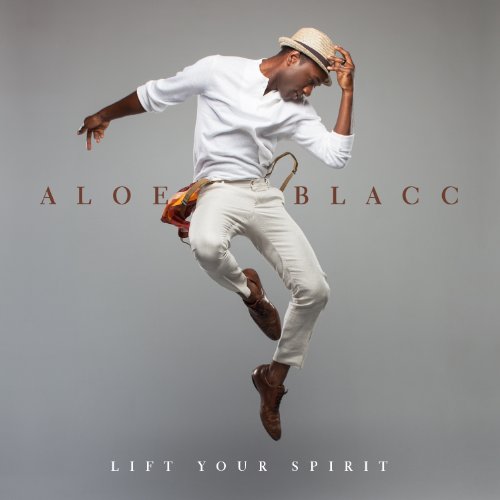 Aloe Blacc Owe It All Profile Image