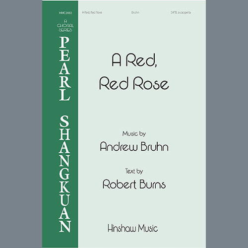 Easily Download Andrew Bruhn Printable PDF piano music notes, guitar tabs for SATB Choir. Transpose or transcribe this score in no time - Learn how to play song progression.