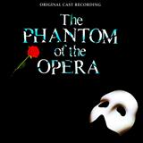 Download or print Andrew Lloyd Webber The Music Of The Night Sheet Music Printable PDF 4-page score for Film/TV / arranged Organ SKU: 102900.