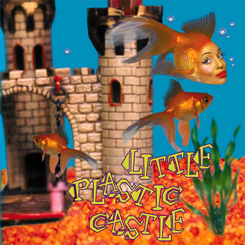 Ani DiFranco Little Plastic Castle Profile Image