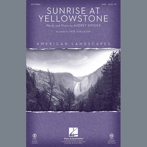 Audrey Snyder Sunrise At Yellowstone (from American Landscapes) Profile Image