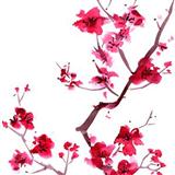 Download or print Audrey Snyder Sakura (Cherry Blossoms) Sheet Music Printable PDF 10-page score for World / arranged SSA Choir SKU: 79267
