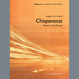 Download or print B. Dardess Chiapanecas (Mexican Clap Dance) - Bass Sheet Music Printable PDF 1-page score for Folk / arranged Orchestra SKU: 271925