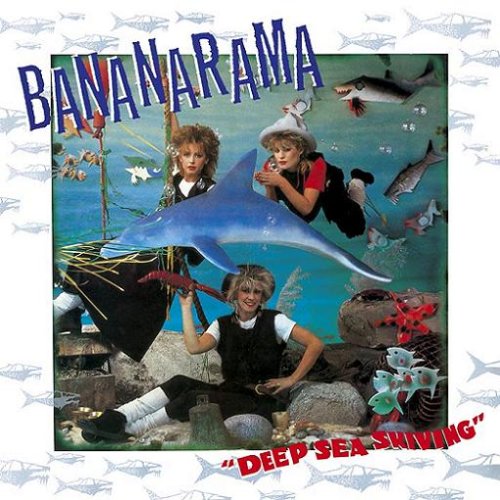 Bananarama Shy Boy Profile Image