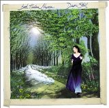 Download or print Beth Nielsen Chapman Every December Sky Sheet Music Printable PDF 4-page score for Folk / arranged Lead Sheet / Fake Book SKU: 49856