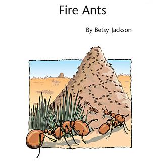 Betsy Jackson Fire Ants Profile Image