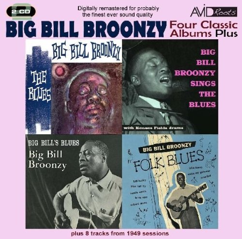 Big Bill Broonzy Baby, I Done Got Wise Profile Image