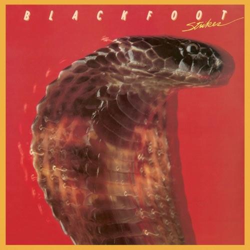 Blackfoot Highway Song Profile Image
