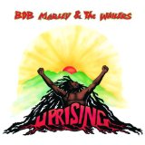 Download or print Bob Marley Work Sheet Music Printable PDF 2-page score for Reggae / arranged Guitar Chords/Lyrics SKU: 41916