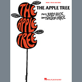 Download or print Bock & Harnick The Apple Tree (Forbidden Fruit) Sheet Music Printable PDF 5-page score for Musical/Show / arranged Piano, Vocal & Guitar Chords (Right-Hand Melody) SKU: 57100