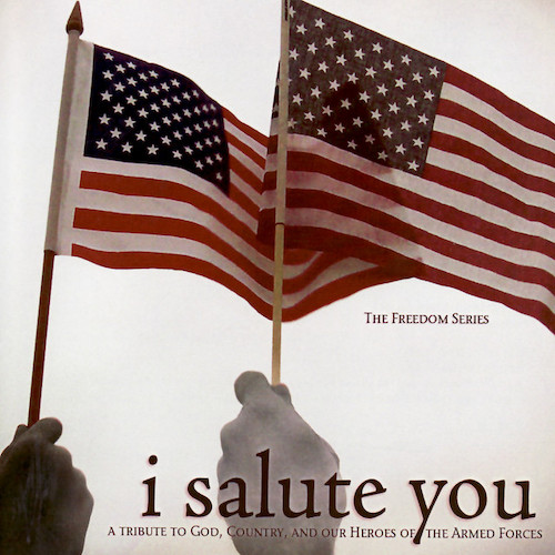 I Salute You cover image