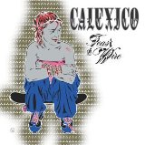 Download or print Calexico Across The Wire Sheet Music Printable PDF 3-page score for Country / arranged Guitar Chords/Lyrics SKU: 100743