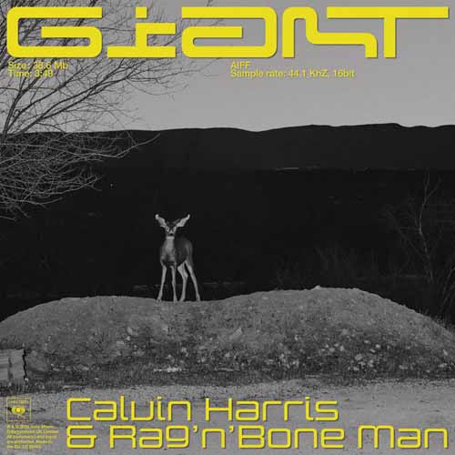Calvin Harris & Rag 'n' Bone Man Giant Profile Image