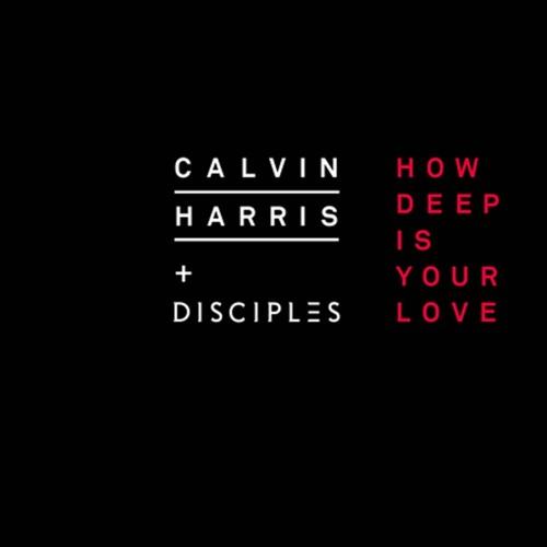 Calvin Harris and Disciples How Deep Is Your Love Profile Image