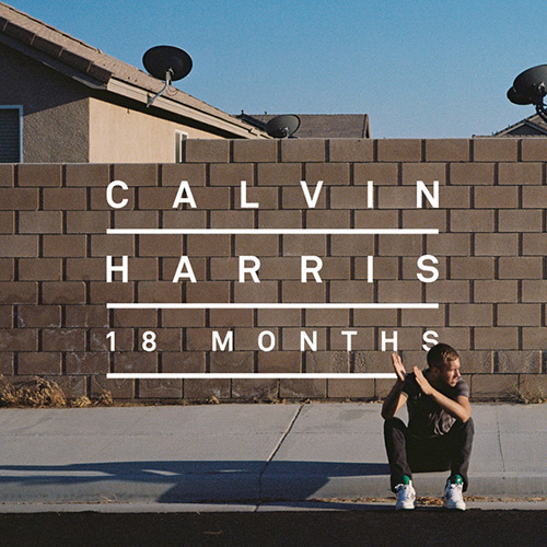 Calvin Harris ft. Tinie Tempah Drinking From The Bottle Profile Image