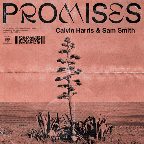 Promises (feat. Sam Smith) cover image