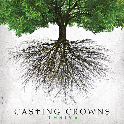 Casting Crowns Heroes Profile Image