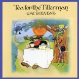 Download or print Cat Stevens Into White Sheet Music Printable PDF 5-page score for Pop / arranged Easy Piano SKU: 150236
