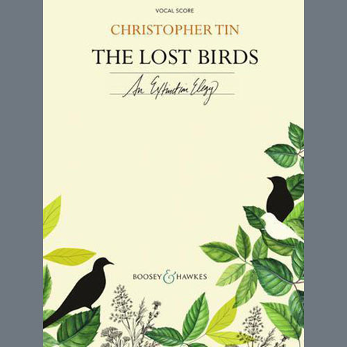 Christopher Tin The Lost Birds Profile Image