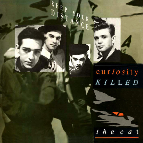 Curiosity Killed The Cat Down To Earth Profile Image