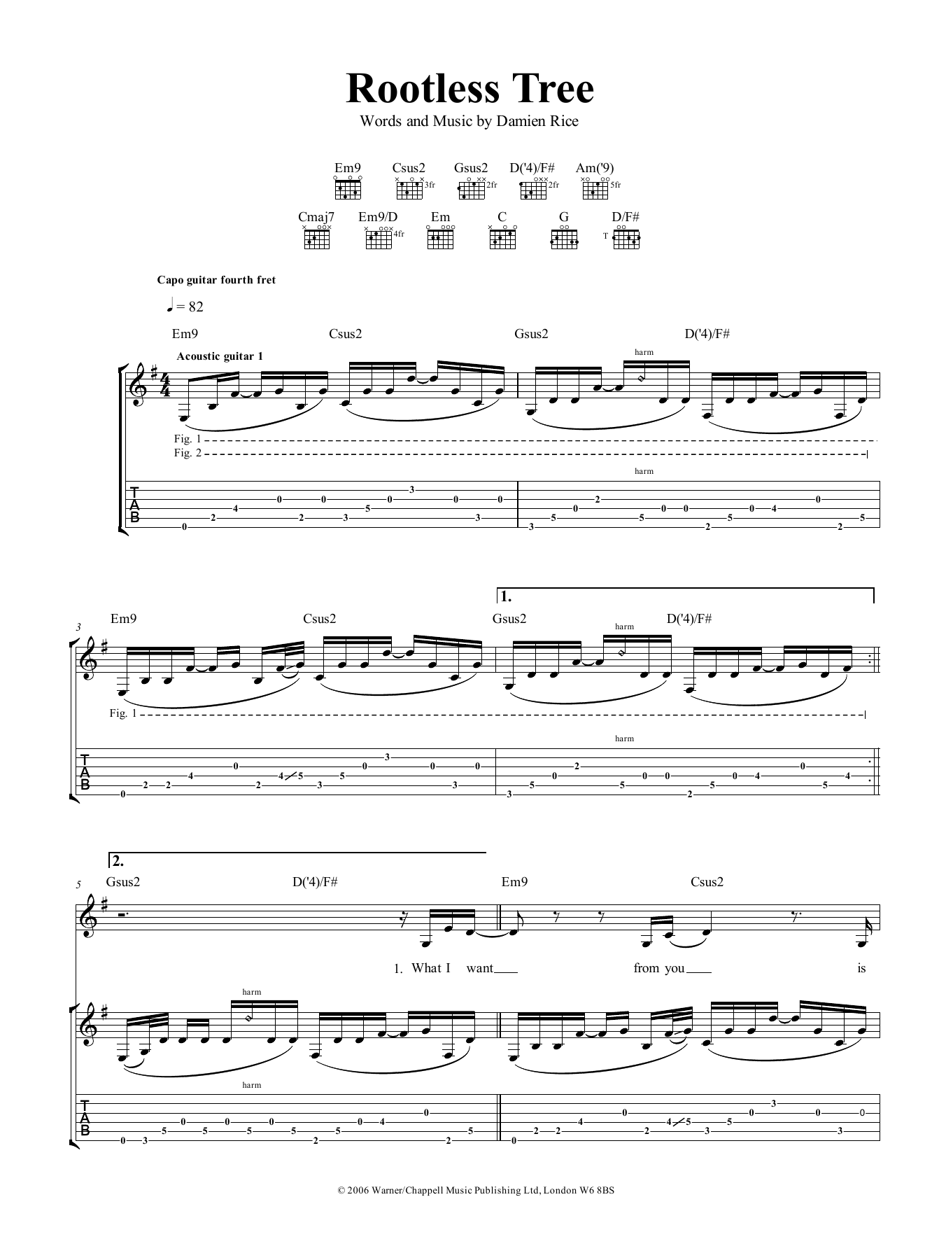 Damien Rice Rootless Tree sheet music notes and chords. Download Printable PDF.