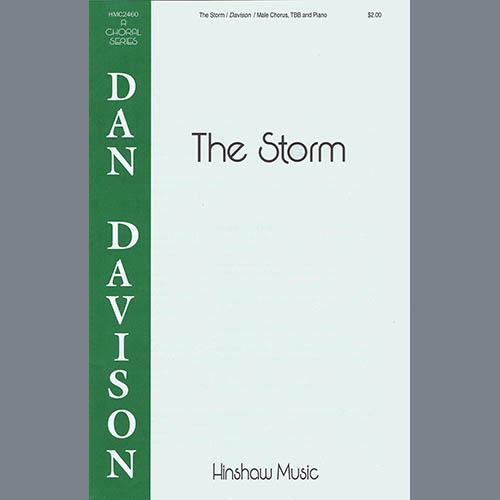 Dan Davidson The Storm Profile Image