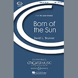 Download or print David Brunner Born Of The Sun Sheet Music Printable PDF 14-page score for Concert / arranged TBB Choir SKU: 69708