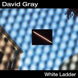 Download or print David Gray Silver Lining Sheet Music Printable PDF 6-page score for Pop / arranged Piano, Vocal & Guitar Chords SKU: 14605