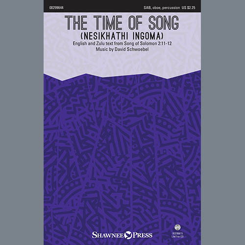 David Schwoebel The Time Of Song (Nesikhathi Ingoma) Profile Image