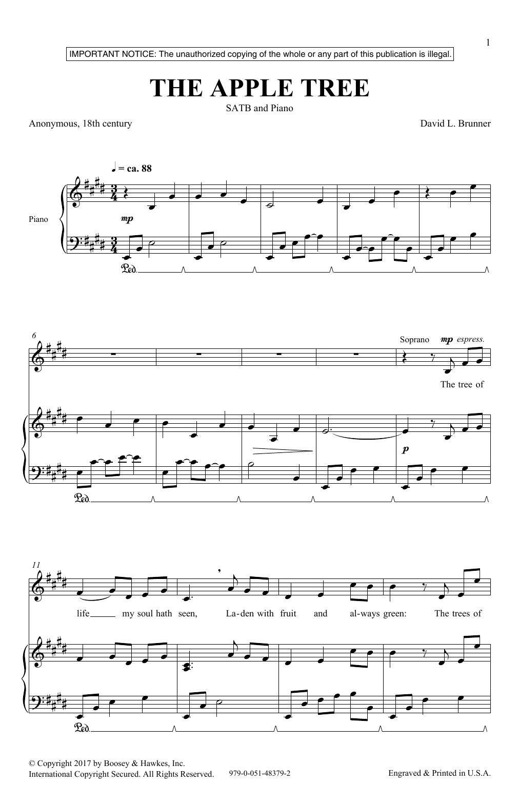 David Brunner The Apple Tree sheet music notes and chords. Download Printable PDF.