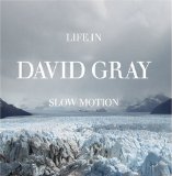 Download or print David Gray Disappearing World Sheet Music Printable PDF 5-page score for Pop / arranged Piano, Vocal & Guitar Chords SKU: 32882