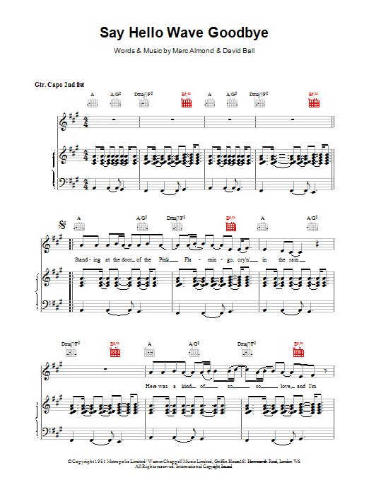 David Gray Say Hello, Wave Goodbye sheet music notes and chords. Download Printable PDF.