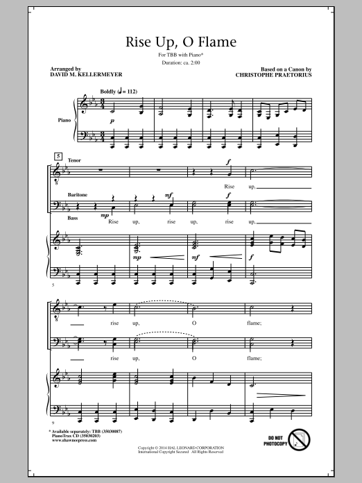 David M. Kellermeyer Rise Up, O Flame sheet music notes and chords. Download Printable PDF.