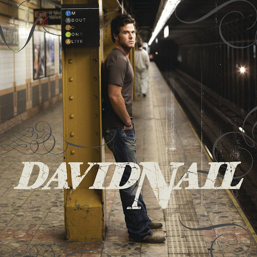 David Nail Red Light Profile Image