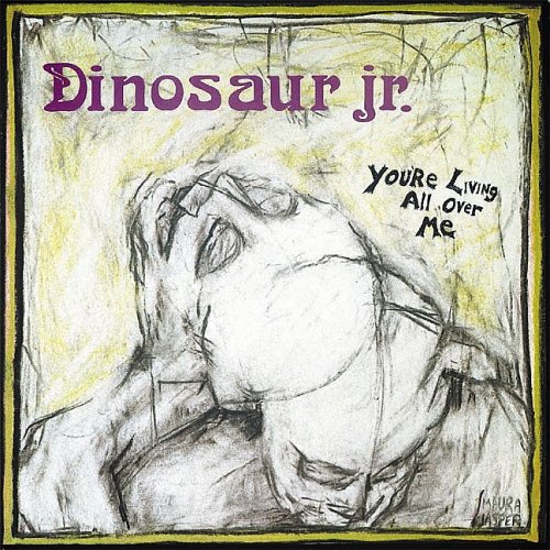 Dinosaur Jr. Little Fury Things Profile Image