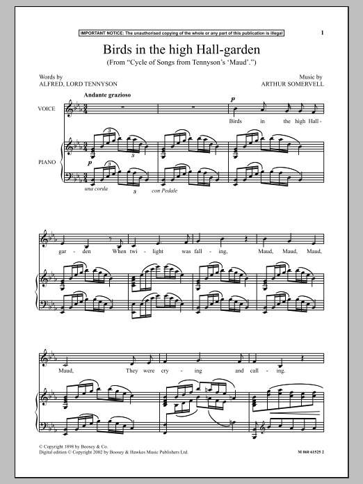 Arthur Somervell Birds In The High Hall Garden (from Cycle Of Songs From Tennyson's Maud) sheet music notes and chords arranged for Piano & Vocal