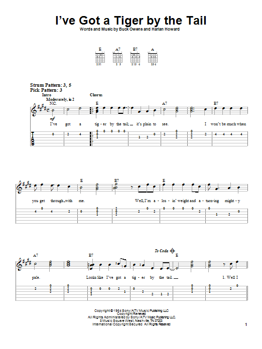 Buck Owens I've Got A Tiger By The Tail sheet music notes and chords. Download Printable PDF.